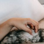 Surfing Spots - Woman using touchpad of laptop while touching fluffy spotty cat